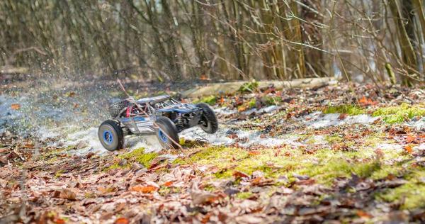 4053199545773: Reely Raptor 6S Brushless 1:8 RC Modellauto Elektro Buggy Allradantrieb (4WD) RtR 2,4GHz. Mini thumb